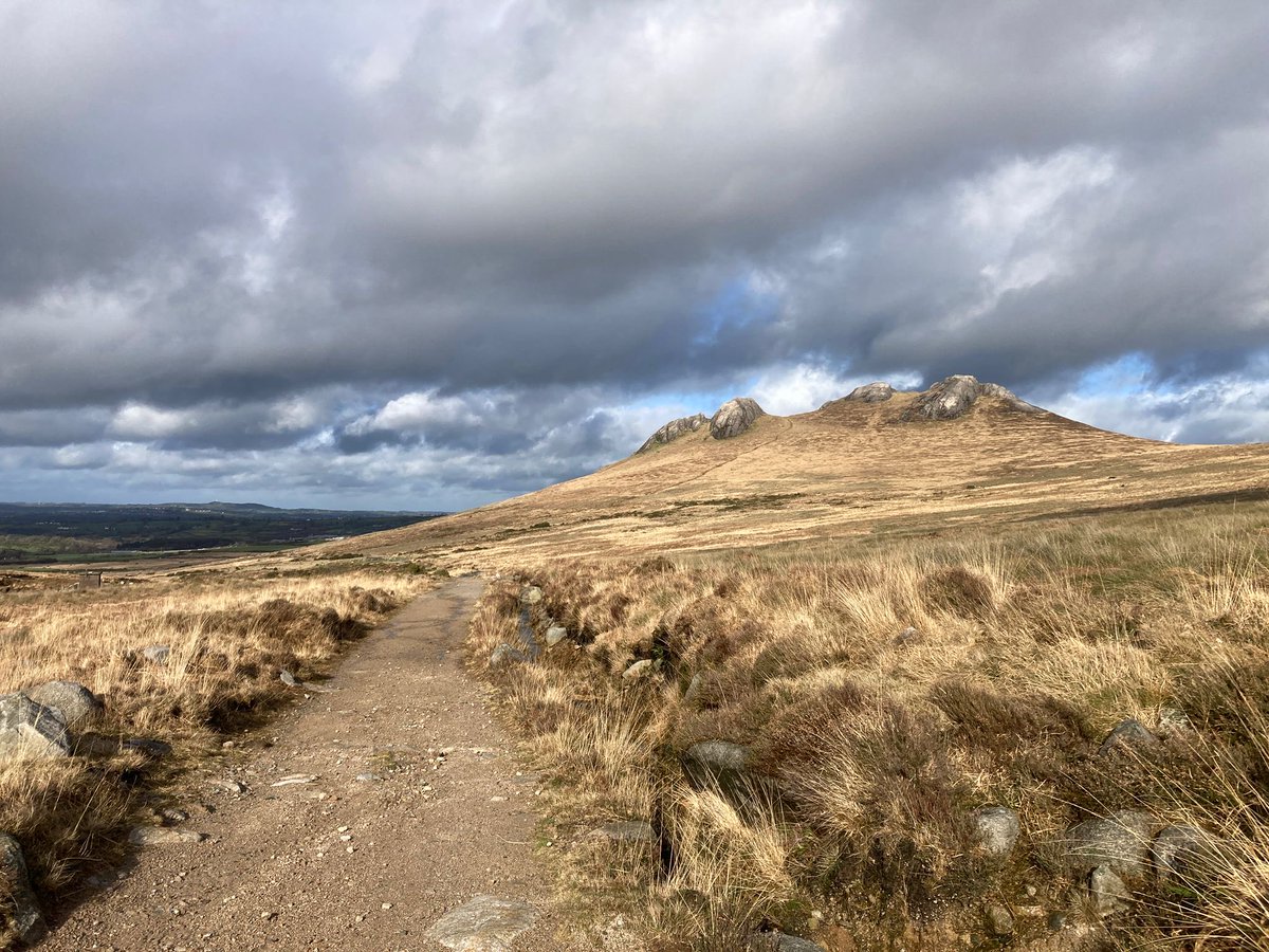 conor macauley tweet media