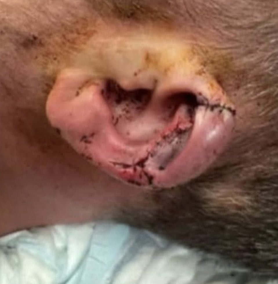 Away.Ends tweet media