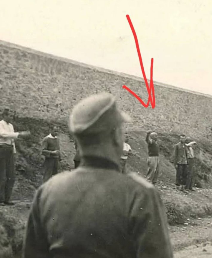 Leξotanil ⛑️⚒️ tweet media