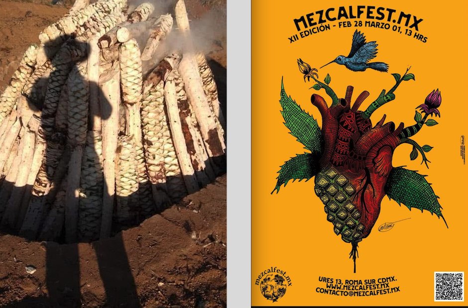 Semanario Punto tweet media