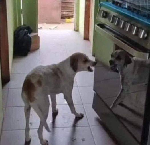 CC andas de mal humor y ni tú te soportas...