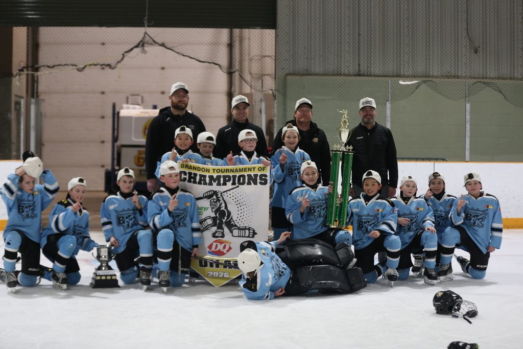 Brandon ToC tweet media