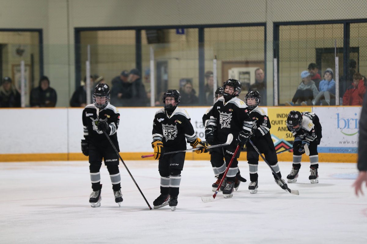 Brandon ToC tweet media