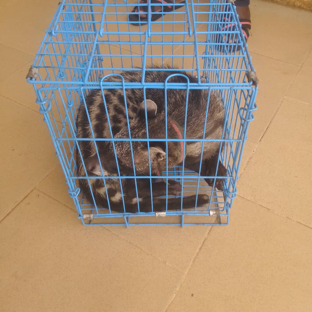 FUNAAB Nigeria tweet media