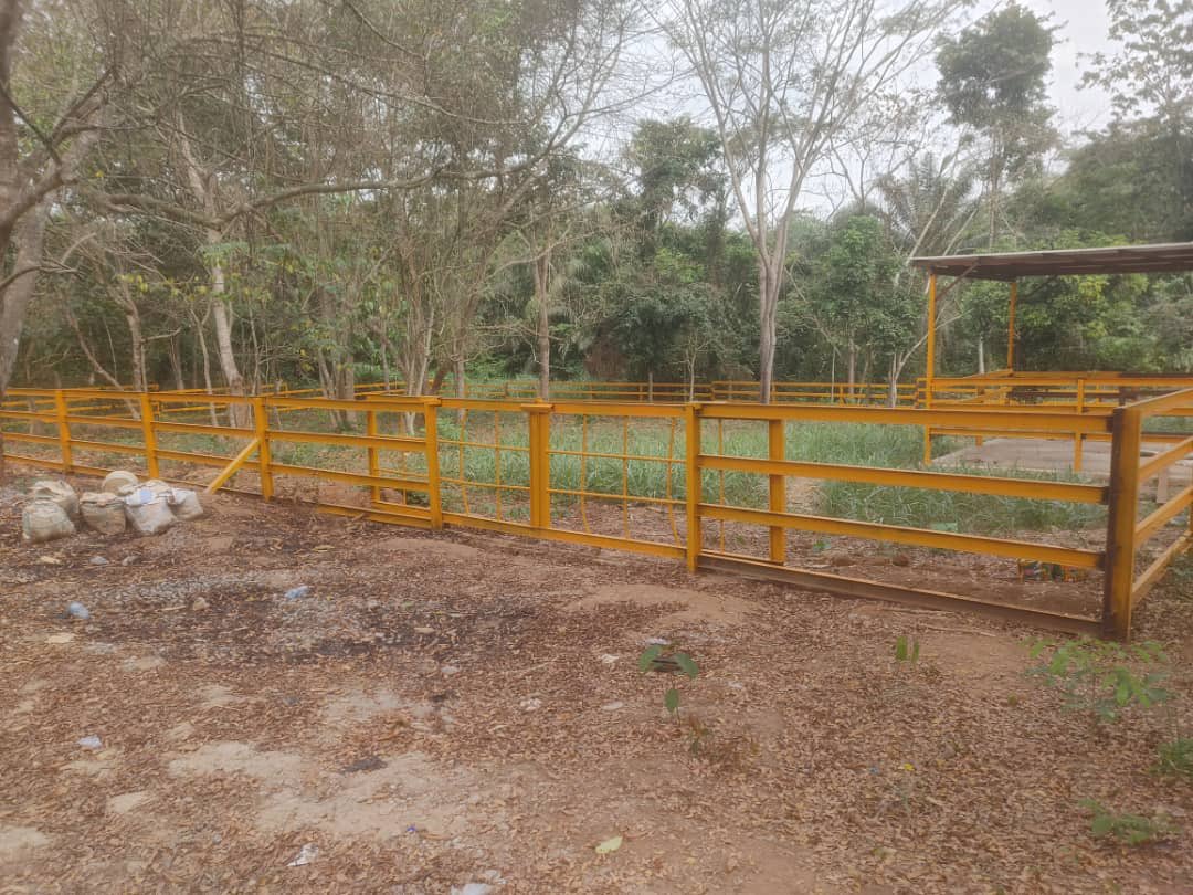 FUNAAB Nigeria tweet media