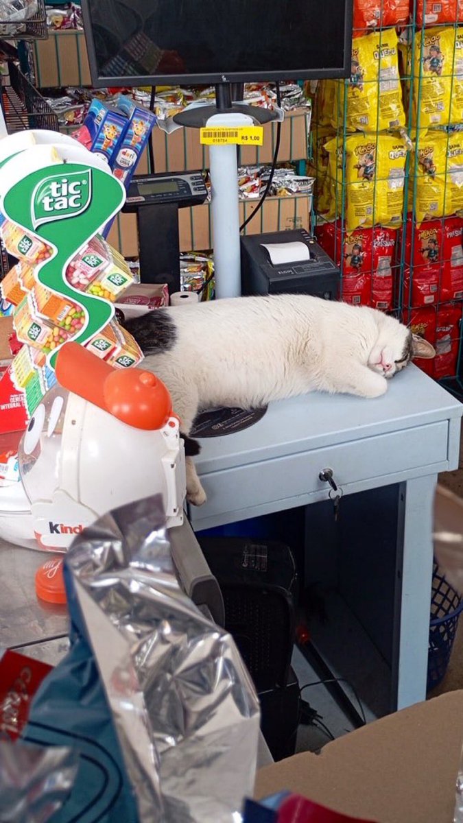 Mr Easy Eats. 

Join the BODEGA 

it was written 

🥪🐱