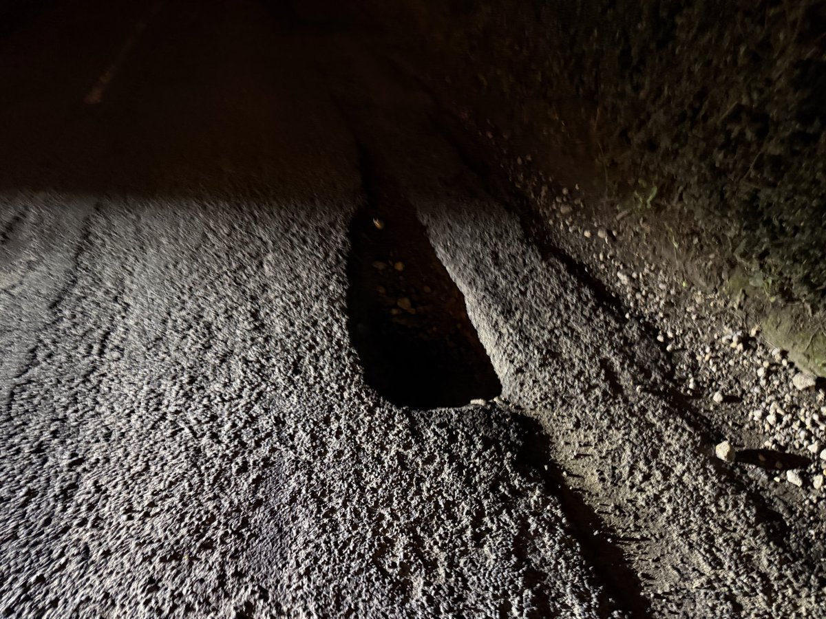 SustainableOrange tweet media