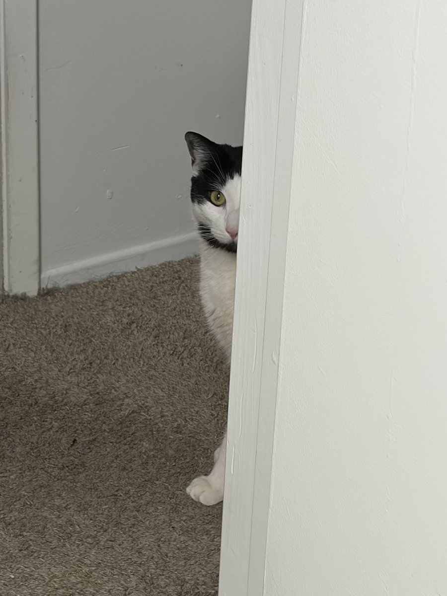 is that a qtip you got there? can i have?