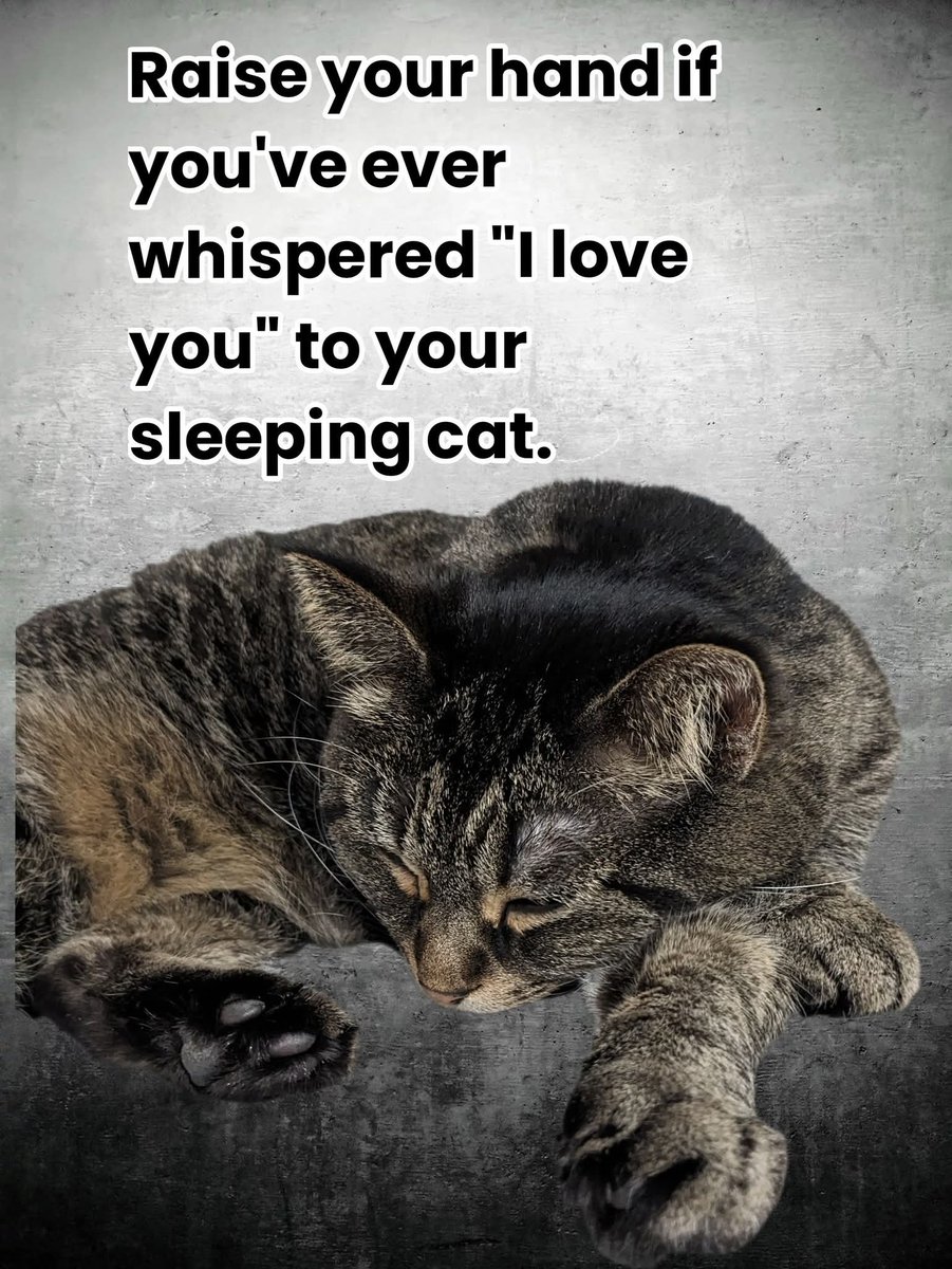 Karen Tabbal tweet media