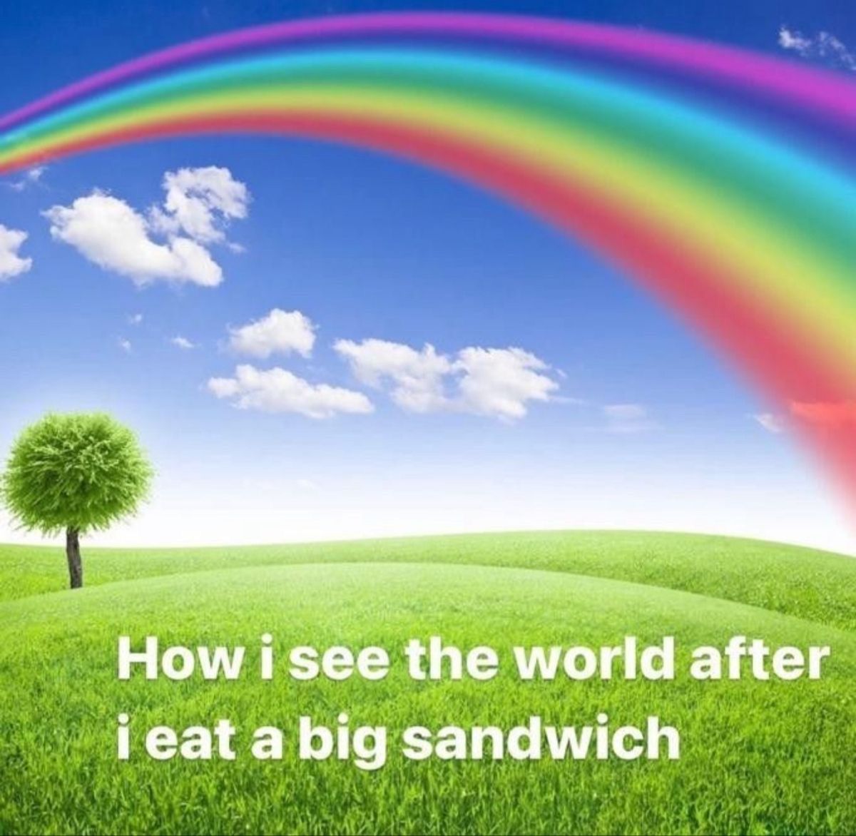 equine__dentist's tweet image. 