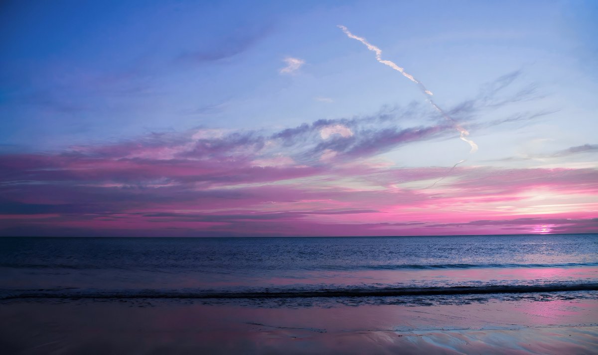 petalesblancs's tweet image. 