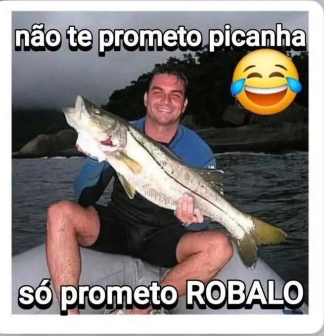 Esse é Flávio Bolsonaro, o Cabra Safado apoiado pelo Gado, não deixe esse vagabundo Robalo eleitor, vote Lula 2026 ...    🤮    👇
