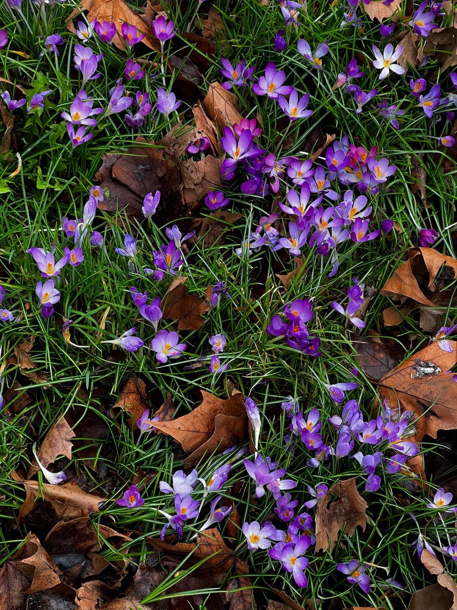 Circe Maia  #Poesía