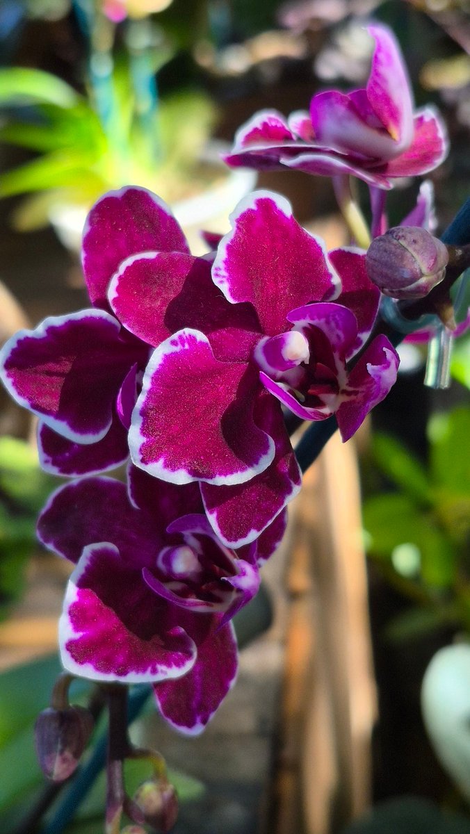 IbargurenM (@ibargurenm) on Twitter photo 