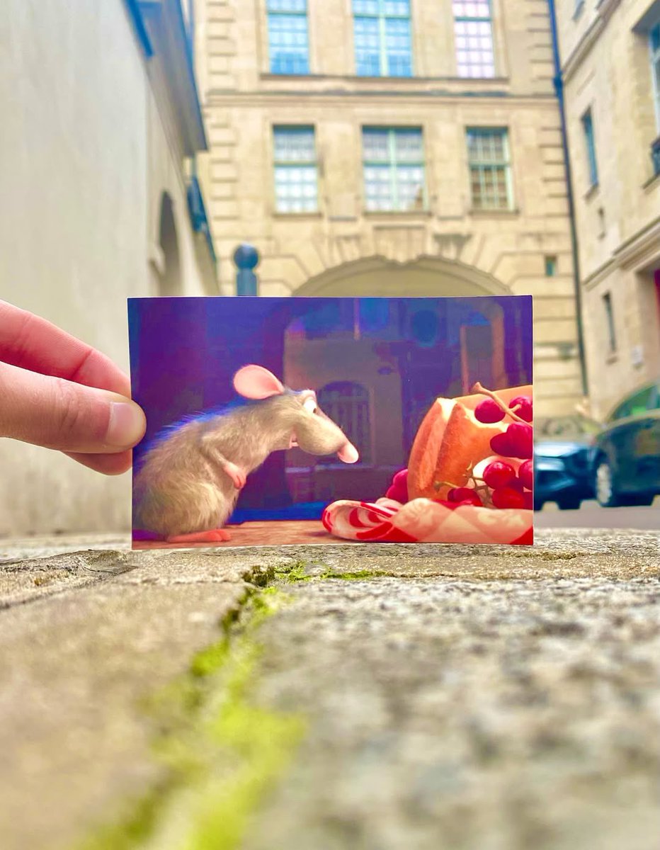 Craving a little perspective? Oui! 🐭
📸 by <a href="/thomasduke98/">Tom</a>