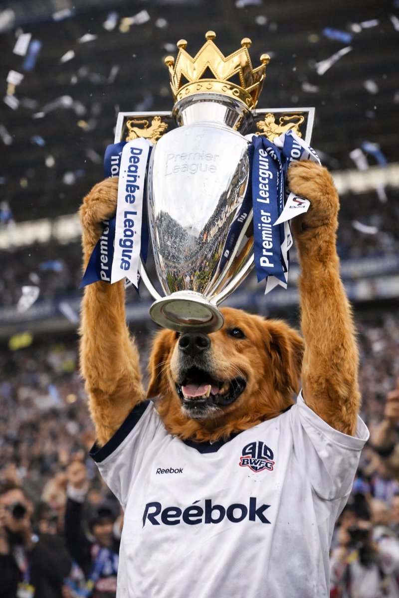 Properhooligan18 tweet media