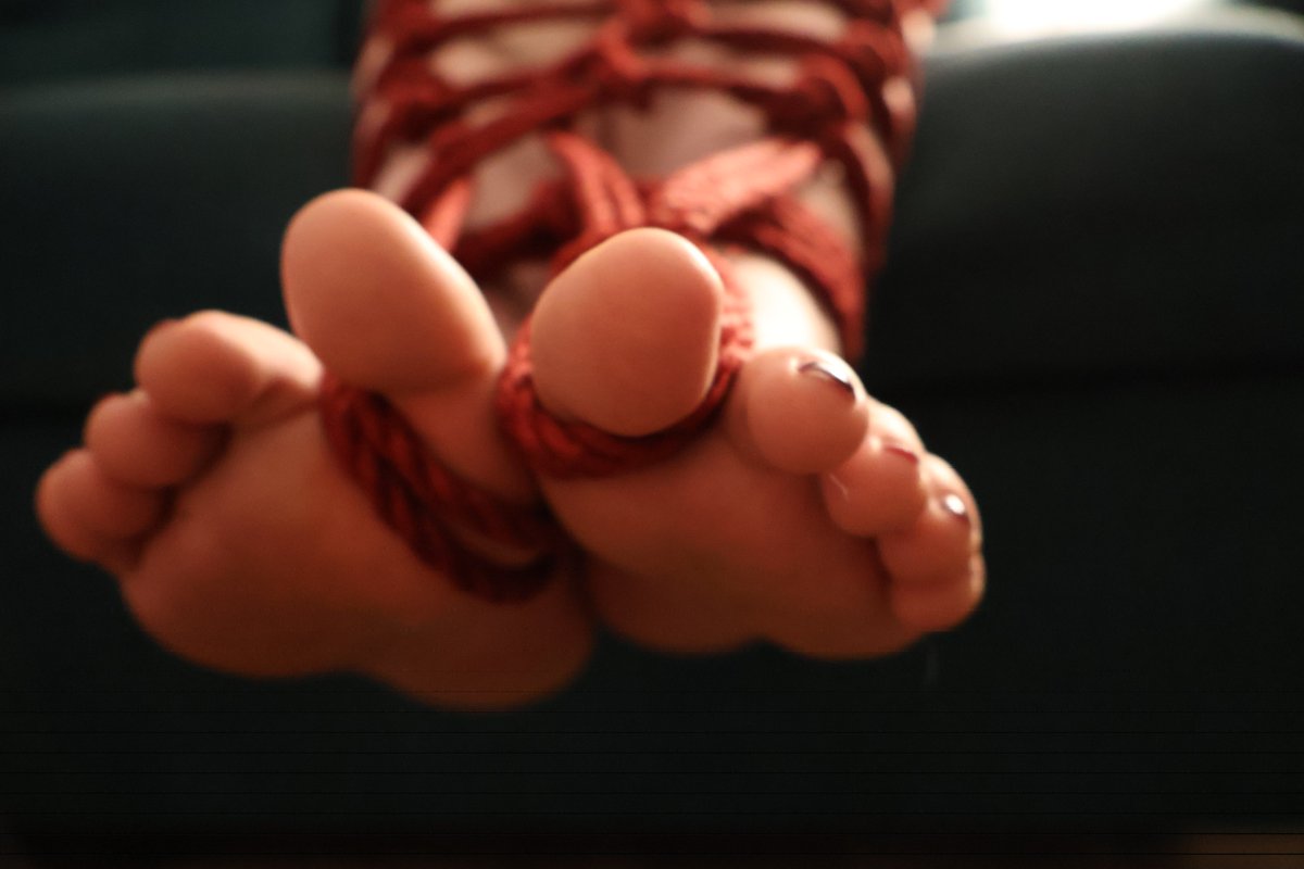 #rope #shibari