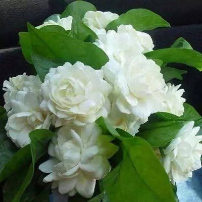 teefaoo9's tweet photo. #NewProfilePic https://t.co/xirvGXSMbd