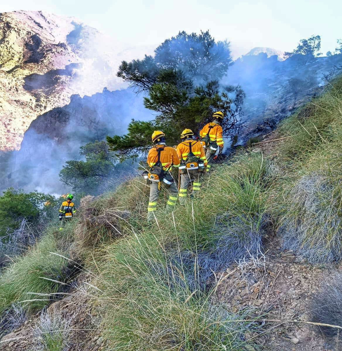 DEFENSA FORESTAL MURCIA tweet media
