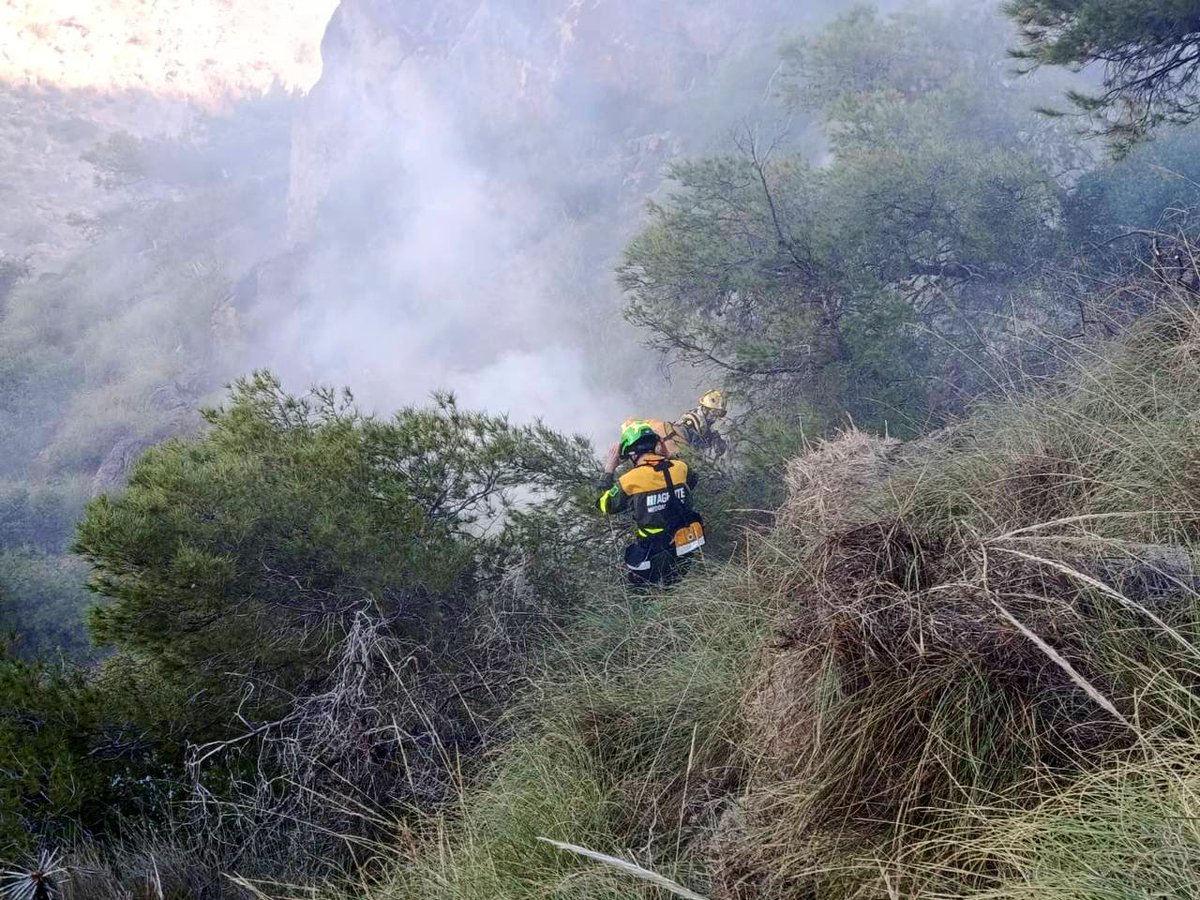 DEFENSA FORESTAL MURCIA tweet media