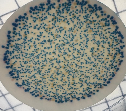 Raju Roy tweet media