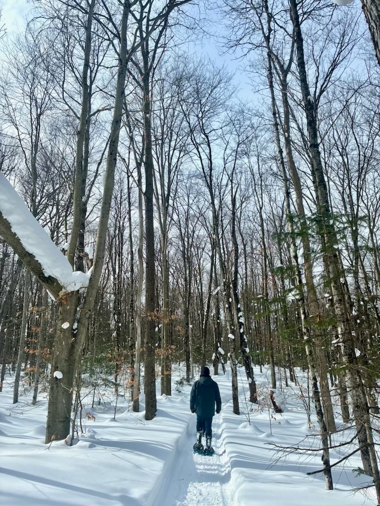 Healthy trees, healthy water, healthy ecosystems. Repeat