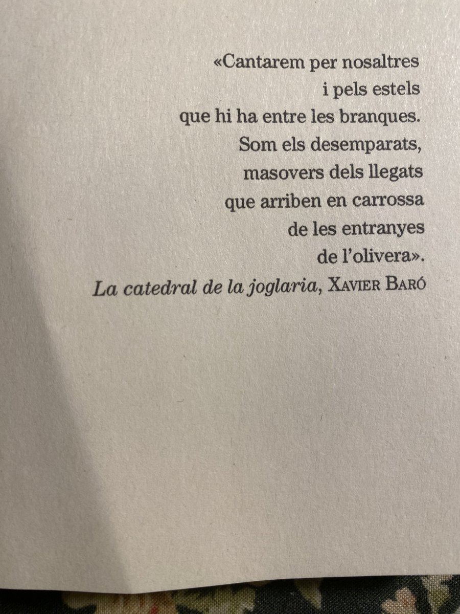 Iolanda Batallé Prats tweet media