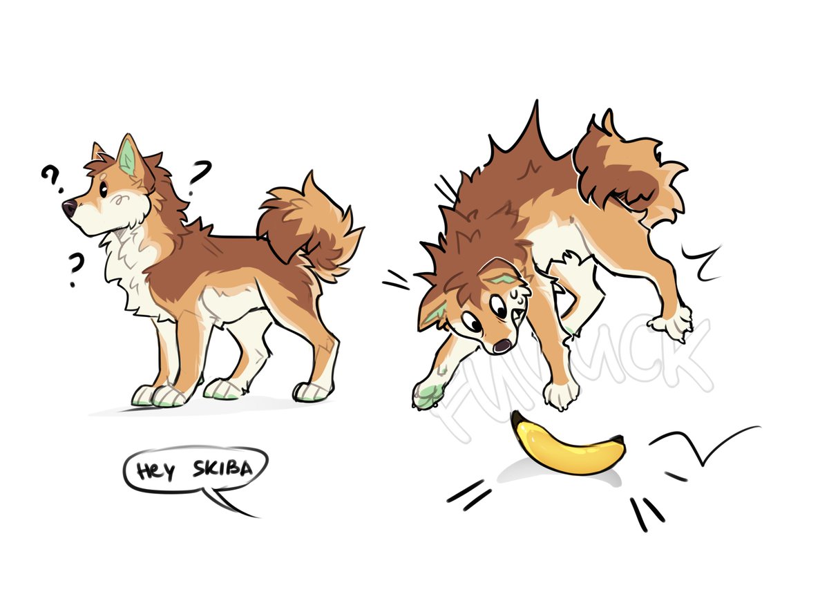 FЯYΛZ` tweet media