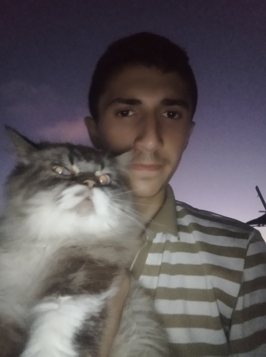 Ali From Gaza tweet media