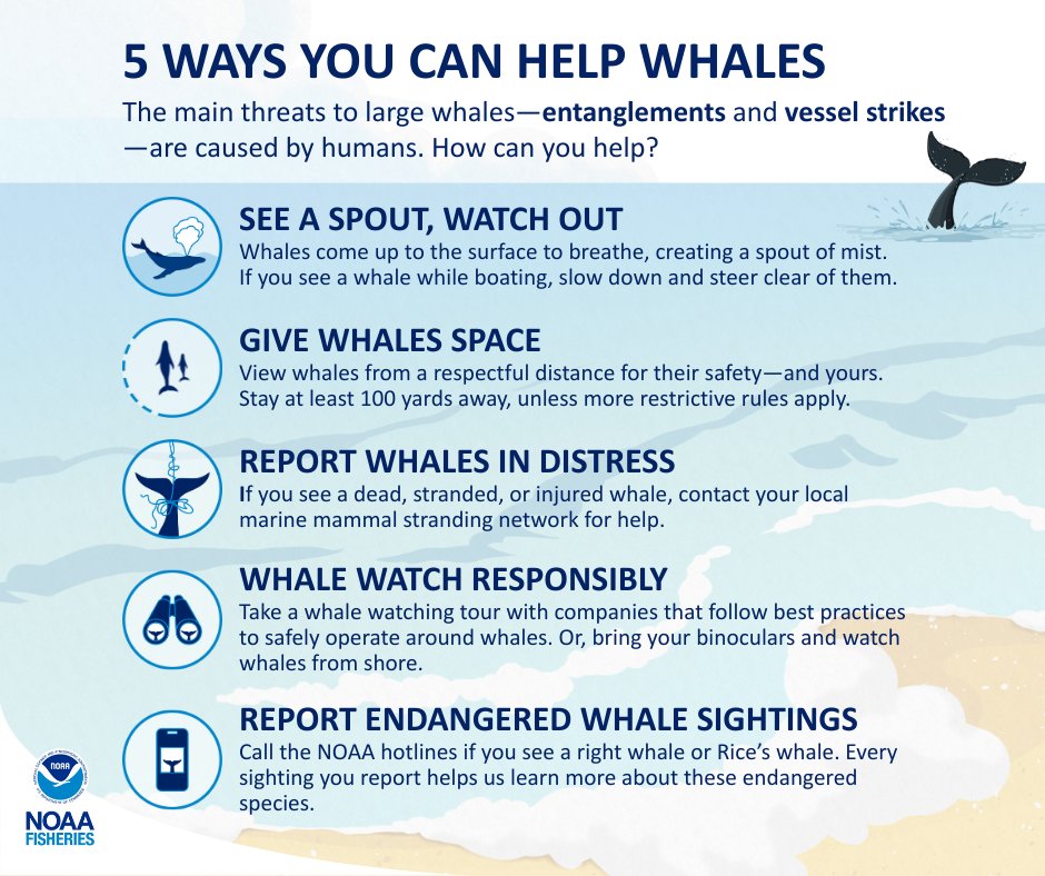 NOAA Fisheries tweet media