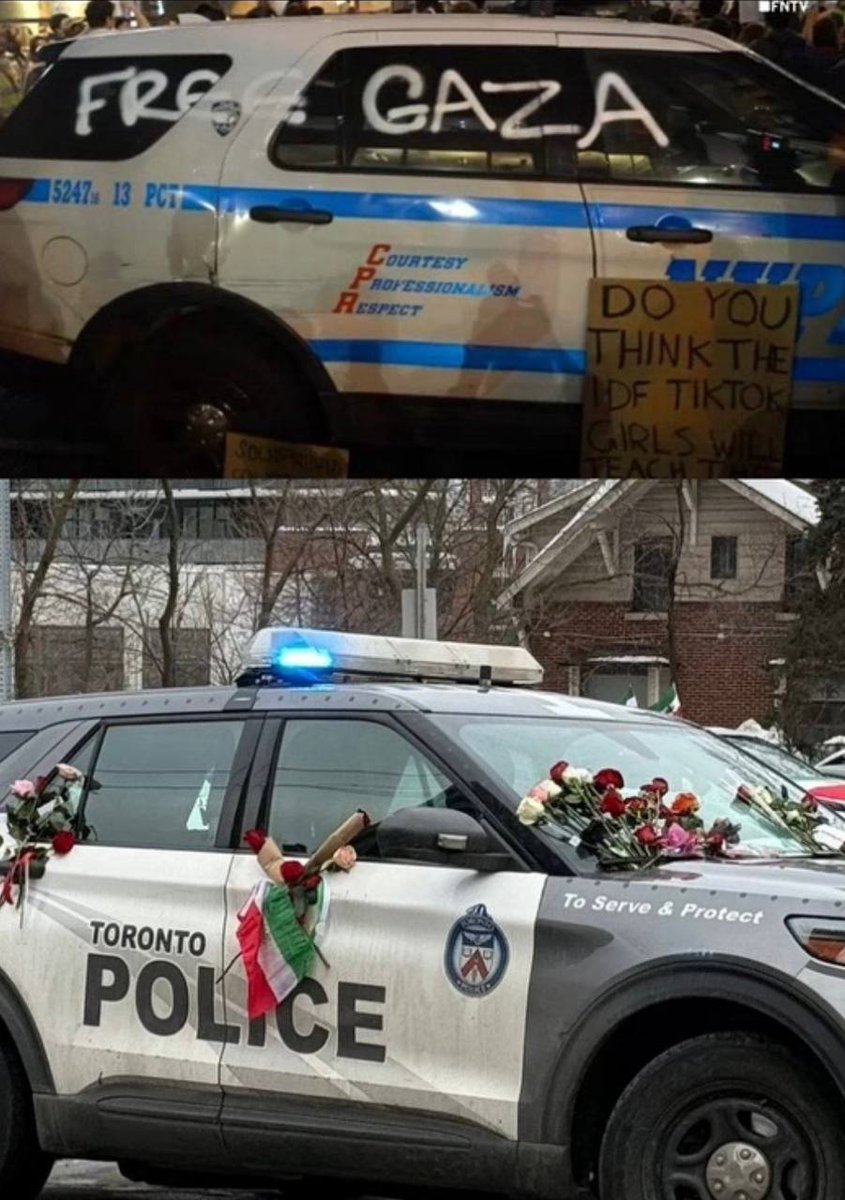 این تصویر تحت عنوان «مقایسه حامیان فلسطین و غزه و حامیان ایران پارسی» تو کانال های خبری و پیج های خبری اروپاییا داره پخش میشه

#KingRezaPahlavi 
#IranRevolution2026 
#جاویدشاه