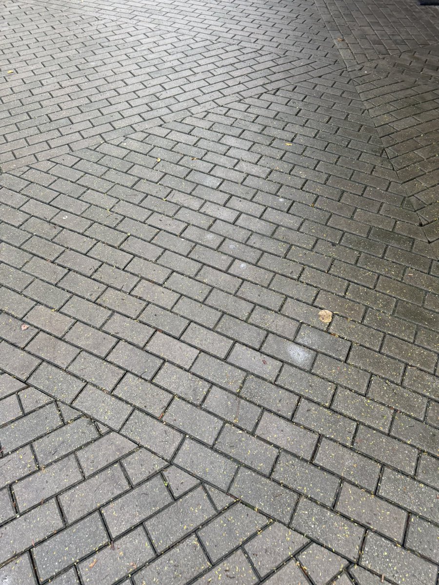 angeldtw's tweet photo. ¿Hay algo más peligroso que estos adoquines cuando está lloviendo? https://t.co/ij34PCMnXJ