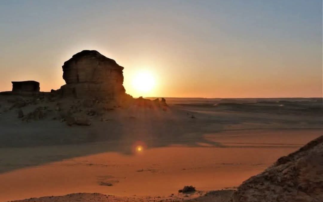 Sam Watson tweet media