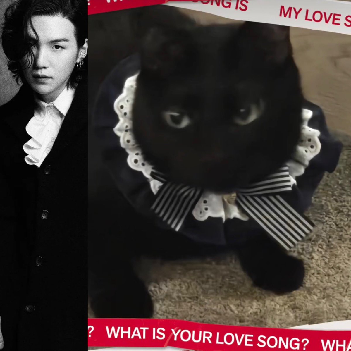 I could not resist! 😭😭🤍🖤🤍😻
#SUGA #Yoongi #Tang 
#whatisyourlovesong