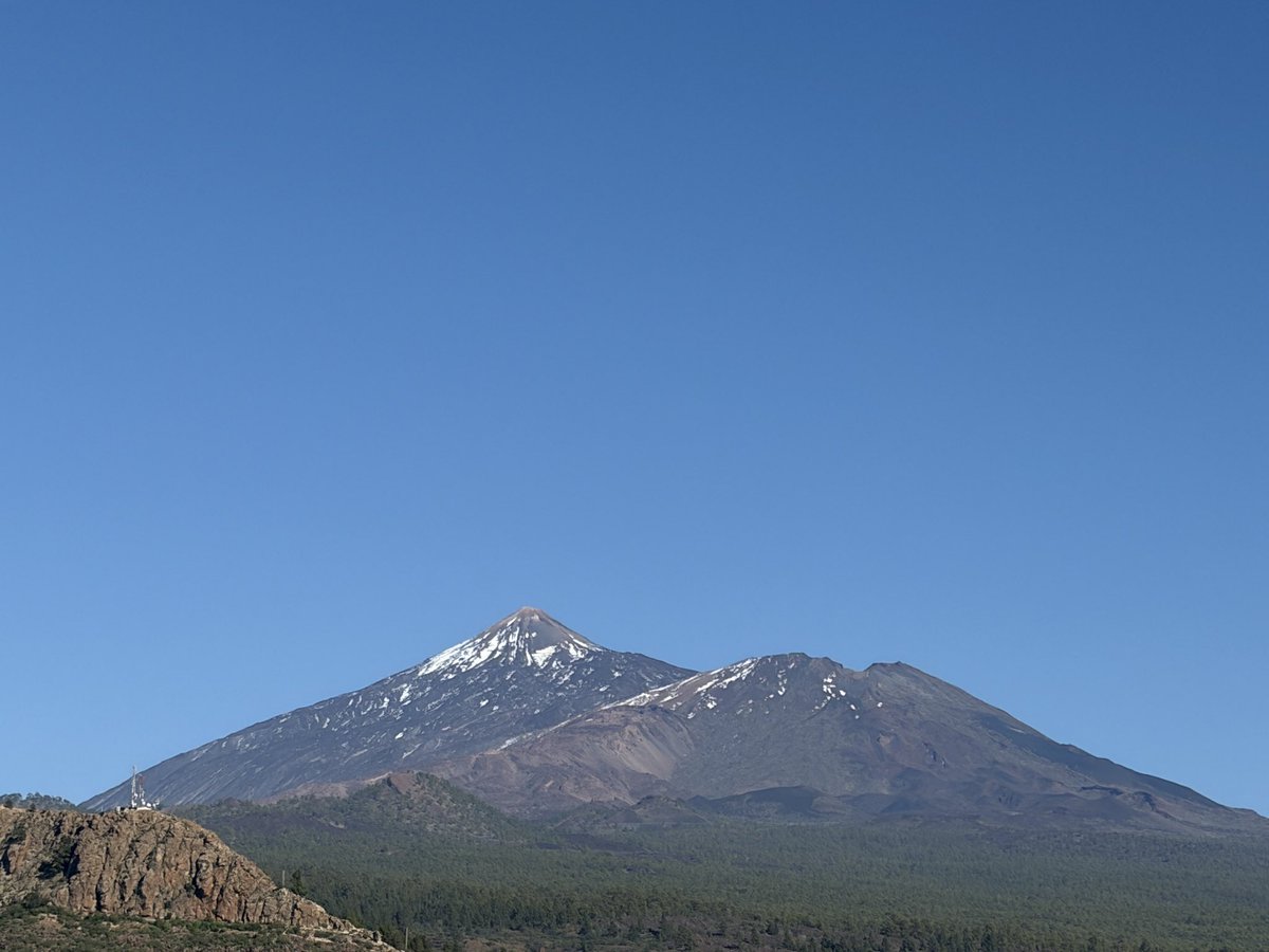 Gerard Sheehy tweet media