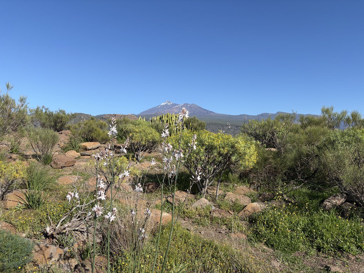 Gerard Sheehy tweet media