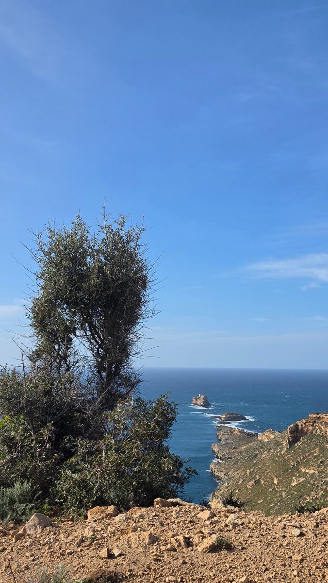 Patricia Gómez Picard tweet media