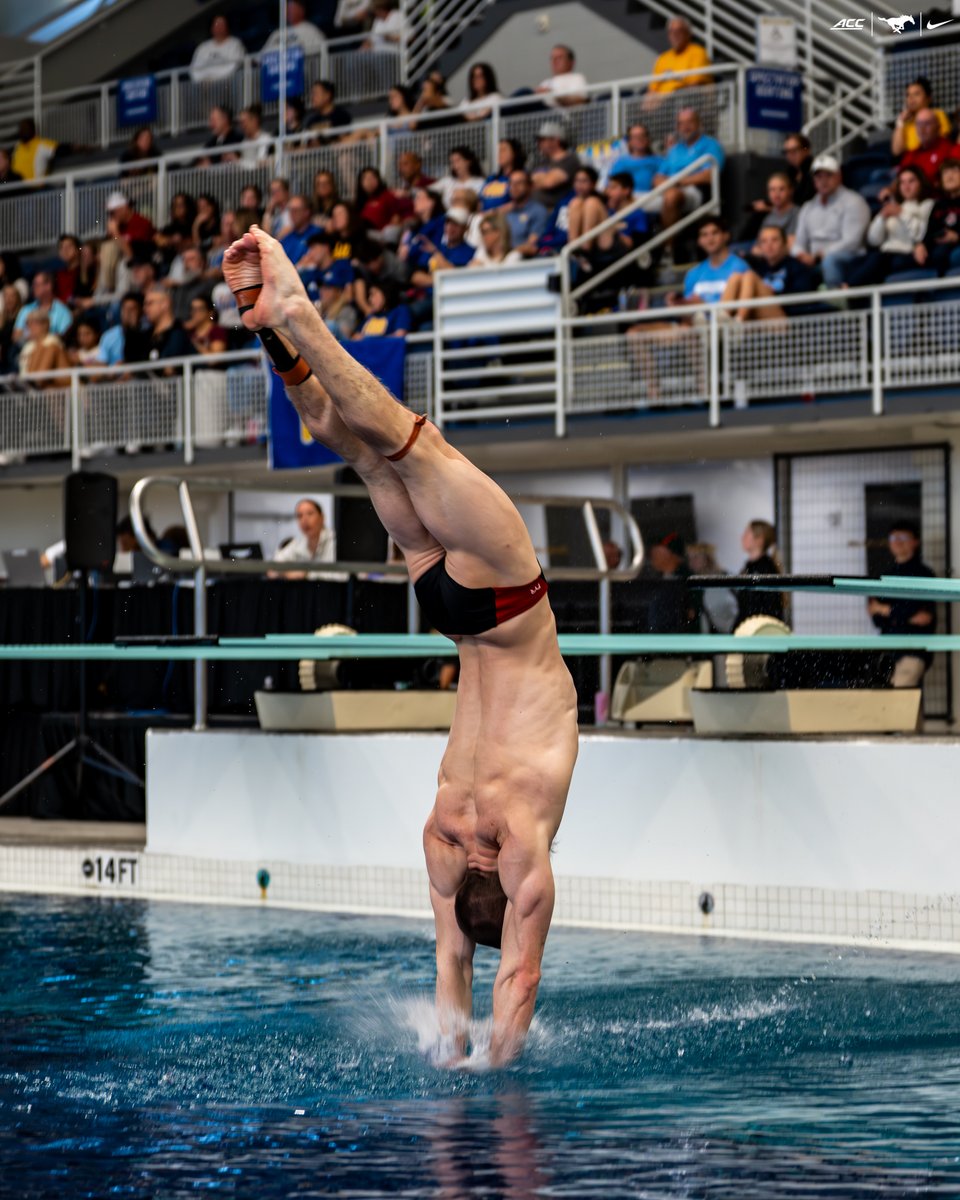 SMU Men's SwimDive tweet media