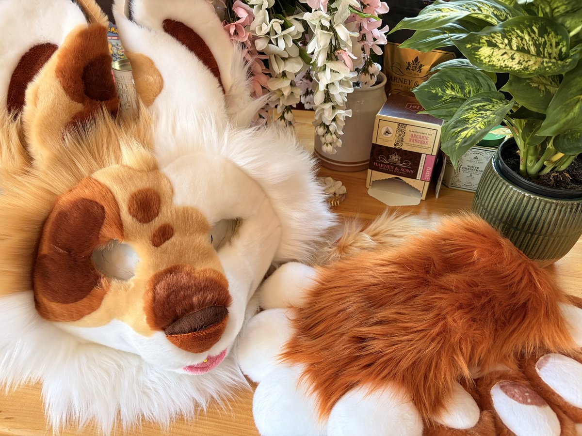 CTW! ✂️🪡 @ Comms Closed!!! tweet media