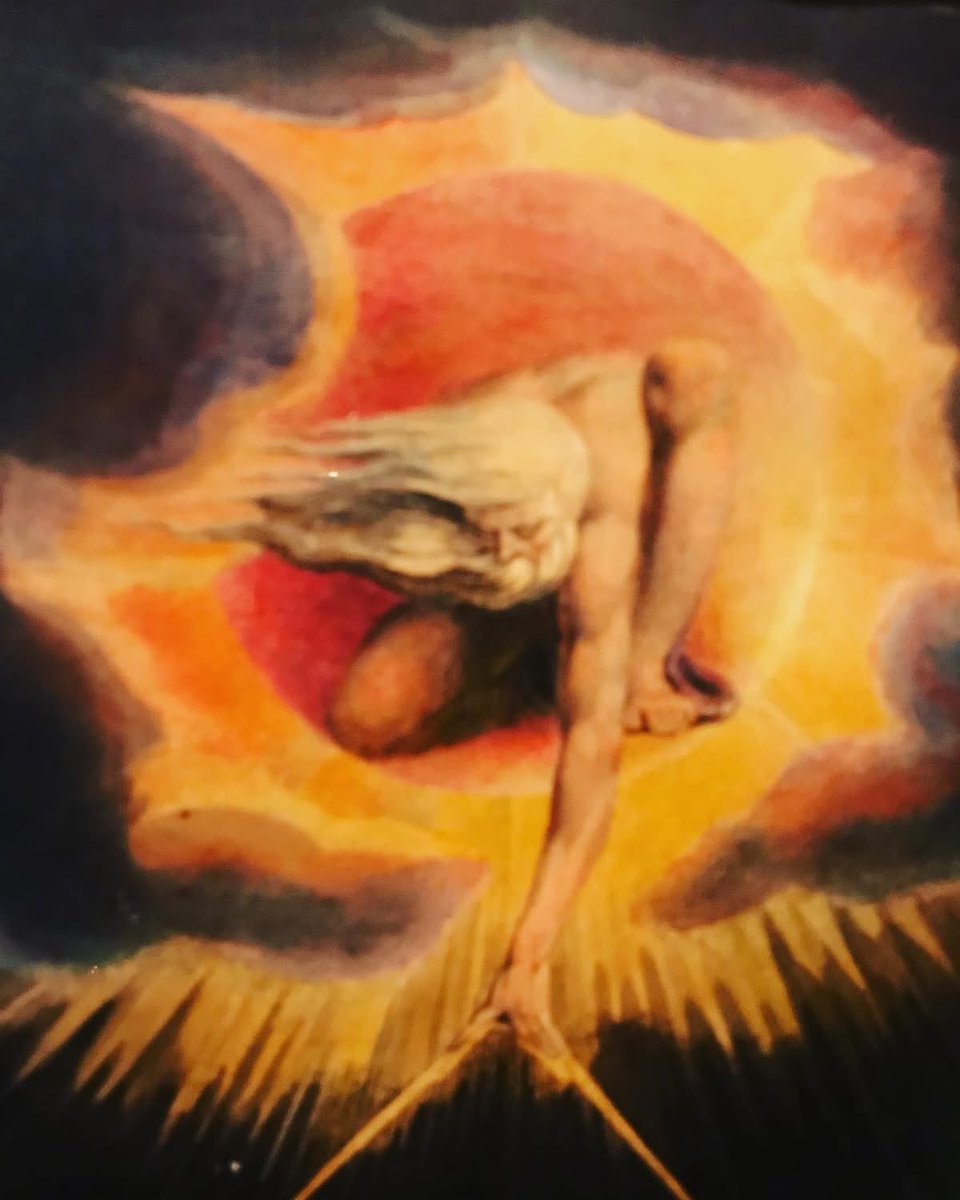 Vivien Lash SNS tweet media