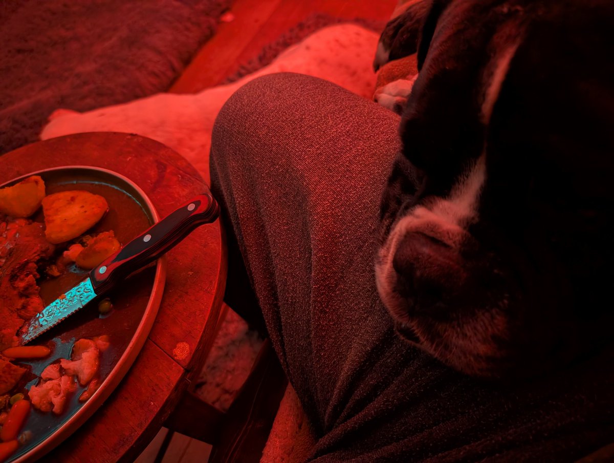 #Hector in charge tweet media