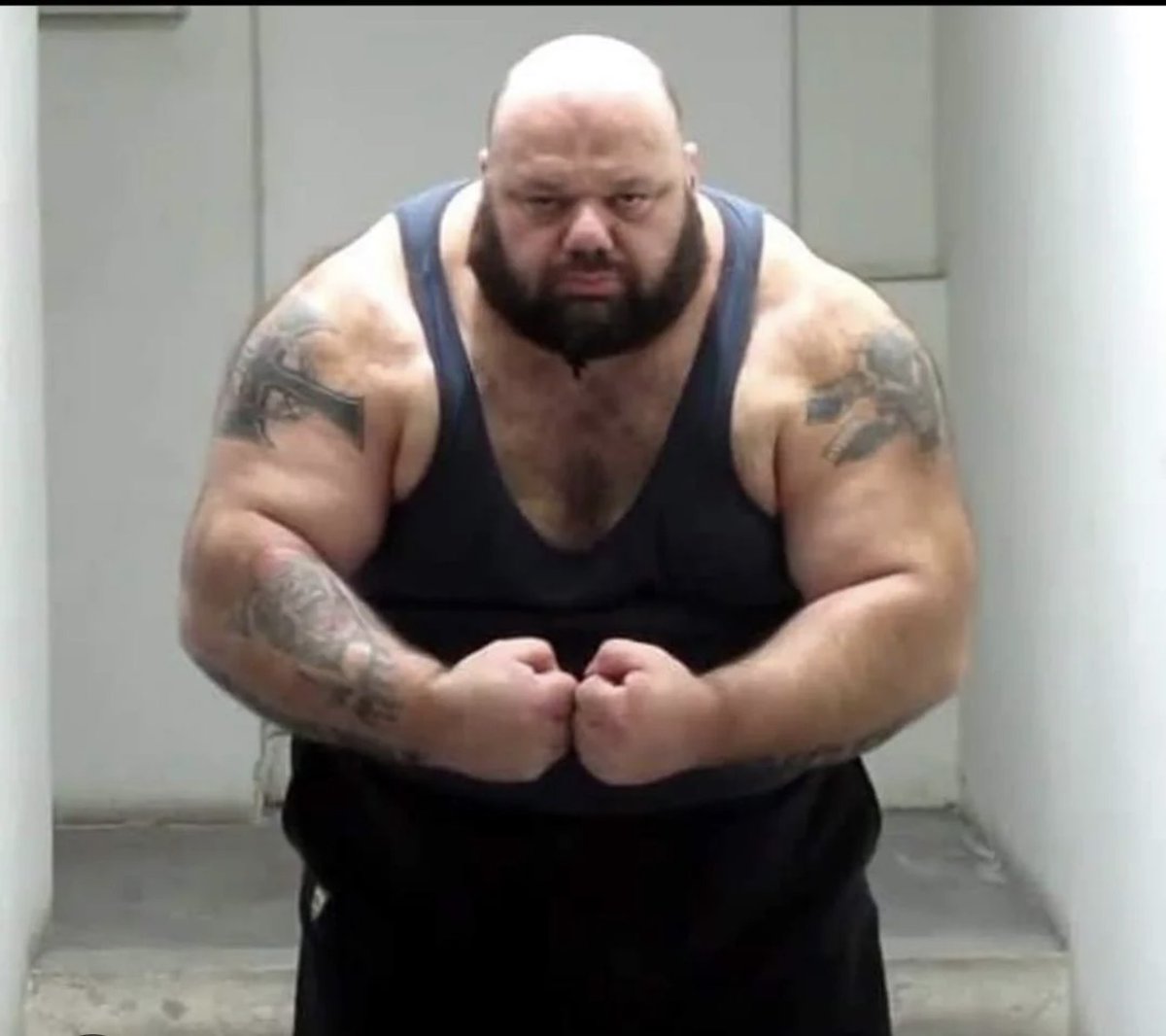 <a href="/Kick_Champ/">KickChamp👑</a> BloatLord approved workout for FrameMogMaxxing

Framemog-Focused Split
 (3–5×/week)
Shoulders heavy 2–3× week (press + laterals)
Pull day 2× week (wide pull-ups/pulldowns + rows)
Push day 1–2× week (incline + pullovers)
High frequency on side delts (they recover fast and respond