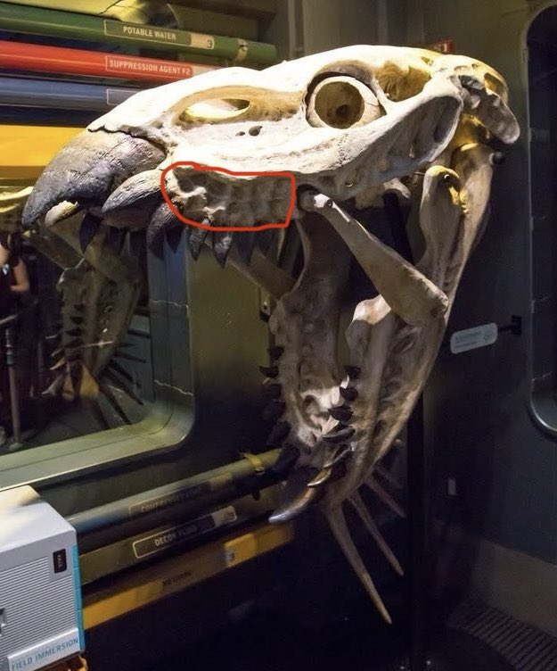 ‘EWA WAHINE’ONIUHINUI (she/they/it) 🦈 tweet media