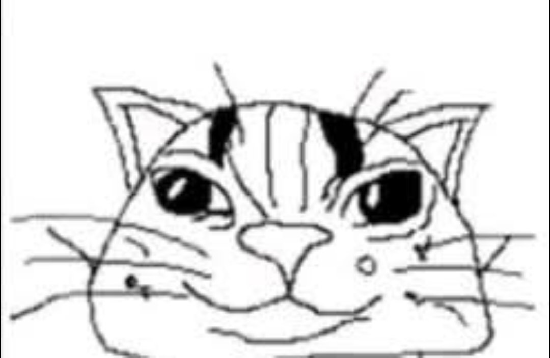 FlatChestLove69's tweet photo. @Tortieza Eres la tortilla que me comería todos los dias https://t.co/junb0eLtV1