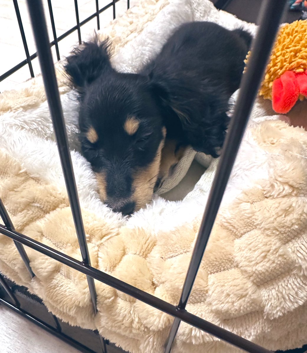 あーちゃん🥺 tweet media