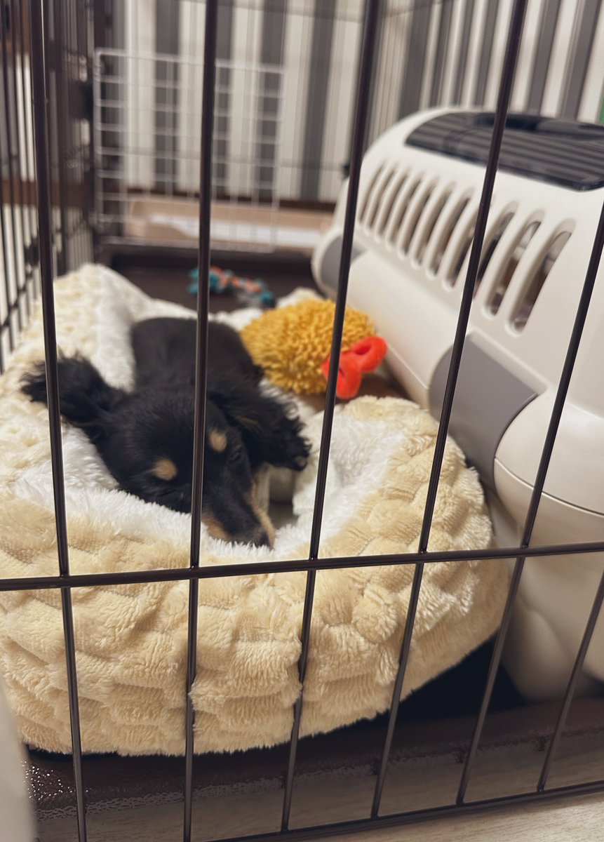 あーちゃん🥺 tweet media