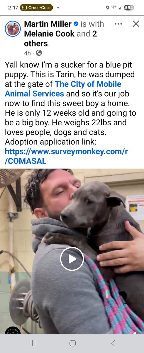 LabTitus's tweet photo. Hiz y'all!!!! The @City_of_Mobile Animal Services doesn't have an X account but if you follow dem on FB, you'll see de most adorable fur babies available!! And, Martin Miller does de best with dem!!! He soo loving!! Dey all need homes!!! #saveadog https://t.co/nsTiXdkOo6