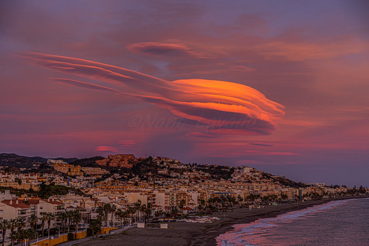 Lechuza inquieta (Nany Lavado) tweet media