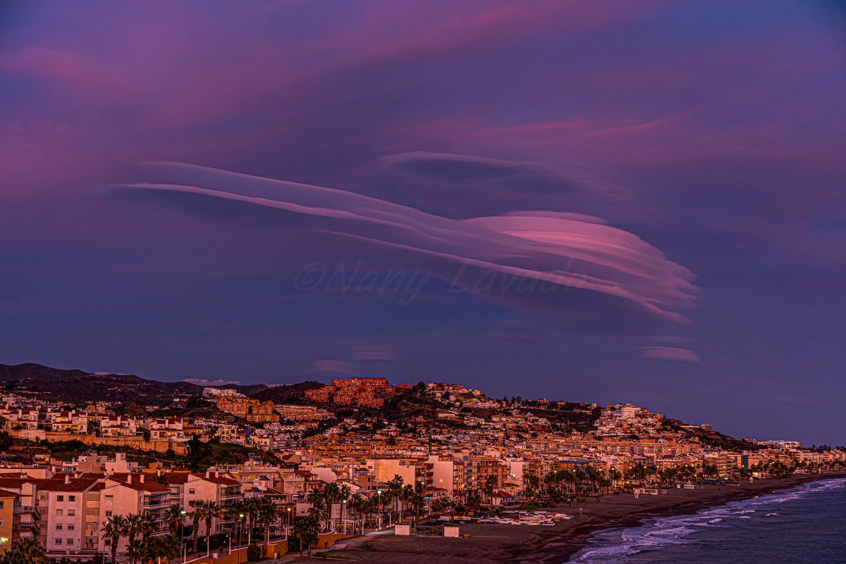 Lechuza inquieta (Nany Lavado) tweet media