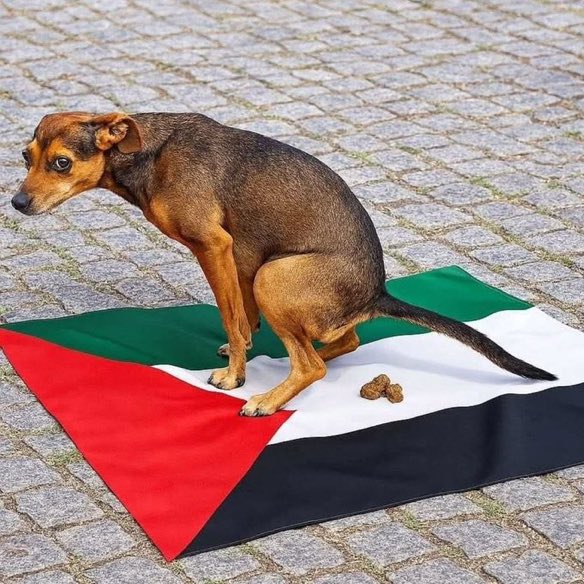 The red triangle shows dogs where to shit.